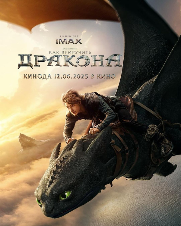 Постер фильма «Как приручить дракона»